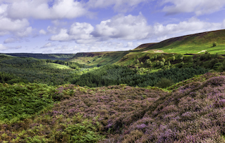 iStock-160815212, Goathland Moor
